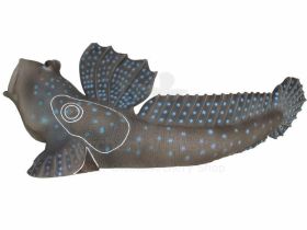 SRT Target 3D Saltafango Mudskipper