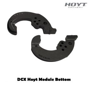 Hoyt Modules DCX