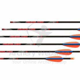 Avalon Carbon Fiber Arrows Tyro 4.2